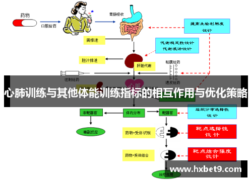 心肺训练与其他体能训练指标的相互作用与优化策略